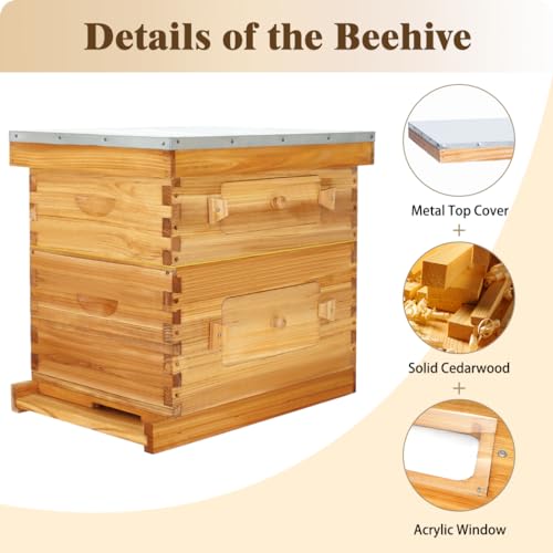 BeeCastle 10-Frame Langstroth Beehive, Beeswaxed Coated Bee Hive Starter Kit for Beekeeping Beginners with Beehive Frame and Waxed Foundation (1 Deep Beehive Box & 1 Medium Beehive Box) - size: 1 Deep & 1 Super Box