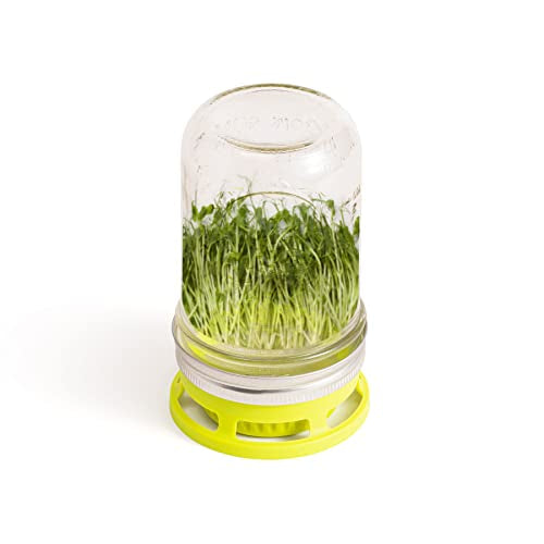 Jarware Mason Jar Lid, Seed Sprouting Lids For Wide Mouth Mason Jars, Set of 2 - size: Wide Mouth, style: Seed Sprouter