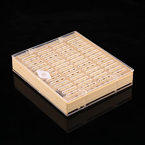 Queen Bee Grafting Tool 20x16x13cm Beekeeping Queen Breeding Cup Box Cell Rod Blocks Caps Hair Rollers Cages Beekeeper Equipment