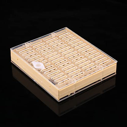 Queen Bee Grafting Tool 20x16x13cm Beekeeping Queen Breeding Cup Box Cell Rod Blocks Caps Hair Rollers Cages Beekeeper Equipment