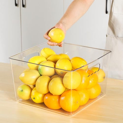 Vtopmart 4 Pack Extra Large Clear Plastic Storage Bins,11x11 Cube Acrylic Organizer Square Containers with Handle for Pantry,Closet,LaundryRoom,Kitchen,Bathroom,UnderSink Organization - size: Without Lid