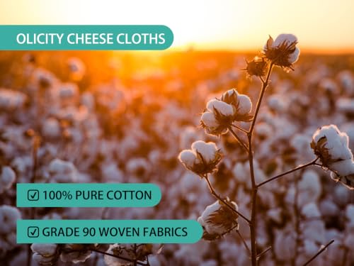 Olicity Cheese Cloths, 2Pack, Double-Layer, 20x20Inch, Reusable Grade 90 Cheese Cloth Bag for Straining, Hemmed Unbleached Cotton Precut Fine Mesh Muslin Cheesecloth for Juicing, Butter, Canning