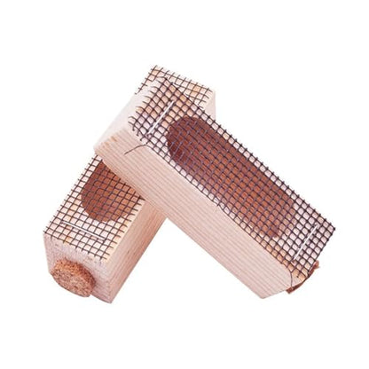 Queen Bee Cage 20pcs Wooden Mutil-Functional Beehive Rearing Cell Bees Queen Post Prisoner, Beekeeping Tools for Beekeeping Supplies