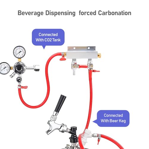2-Way Gas Manifold CO2 Distributor Manifold 5/16 inch Barb/Stem Splitter Beer Integrated Check Valves Homebrew Beer Making Brewing Tool-CO2 gas input at LEFT side+3 CLAMPS - color: 2 WAY,GAS INPUT AT LEFT