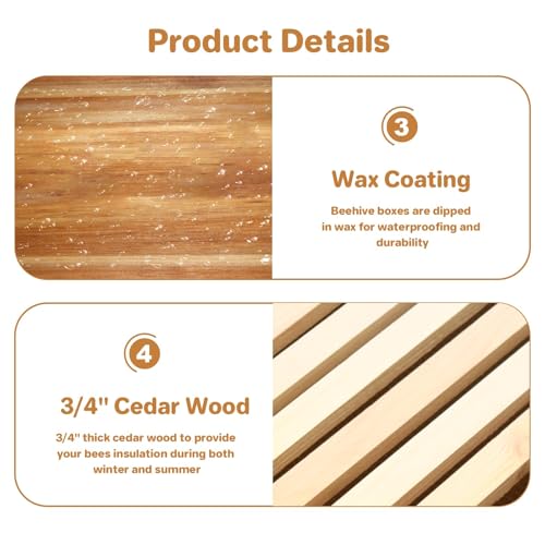 10 Frame Bee Box, Wax Coated Bee Hives with Beehives Frames and Wax Foundations, Langstroth Honey Super for Beekeeping Supplement (Unassembled) - style: with Wind Deepow