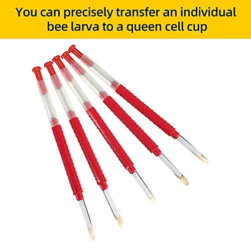 Beekeeping Moving Grafting Needle Tool 15PCS Shift Needle Bee Beekeeper Hive Queen Larva Hive Feeding Tools Apiculture Supplies (White) - color: White