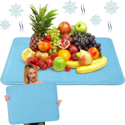 Reallnaive 2 Pcs Reusable Freezable Ice Mat for Buffet Table Chilled Serving Tray Party 19.69 x 15.75 Inches Light Blue Charcuterie Cooler Cooling Trays for Food Cheese - color: Light Blue, size: 19.69 x 15.75 Inches, style: Classic