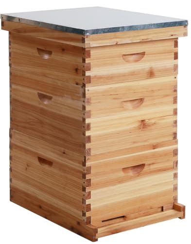 Bee Hive Box with Observation Window, 10 Frame Beeswax Coated Bee Hive Starter Kit for Beginners Beekeepers,2 Deep Box & 1 Medium Boxes - size: 3 Layer
