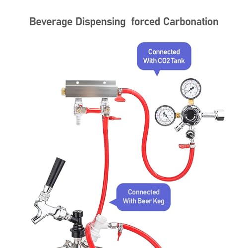 2-Way Gas Manifold CO2 Distributor Manifold 5/16 inch Barb/Stem Splitter Beer Integrated Check Valves Homebrew Beer Making Brewing Tool-CO2 gas input at RIGHT side+3 CLAMPS - color: 2WAY,GAS INPUT AT RIGHT