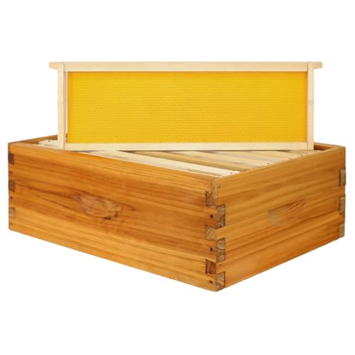 POLLIBEE 8 Frame Medium Super Bee Box, Assemble Bee Hive Box, Dipped in 100% Beeswax, Include Beehive Frames and Bee Hive Foundation