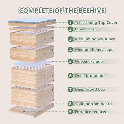 Bee Hive Boxes 10 Frame Langstroth Beehive,Complete Beehive Kit Includes 2 Deep Brood Bee Hives Box, 2 Medium Super Bee Box with Beehive Frames and Foundation - size: 4-Layre