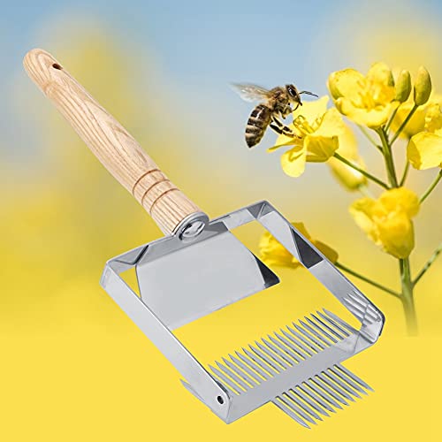Beekeeping Uncapping Fork Tool – Stainless Steel Beehive Knife Scraper with Wooden Handle for Honey Harvesting Comb Uncapping