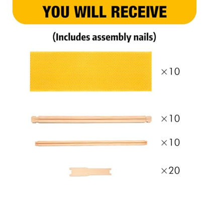 Honey Lake Medium Beehive Frames and Foudations Kit,10 Pack Super Wooden Frames and Beeswax Dipped Plastic Foundations for Beekeeping - color: 10Pack-Yellow