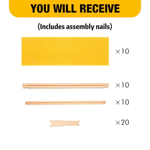 Honey Lake Medium Beehive Frames and Foudations Kit,10 Pack Super Wooden Frames and Beeswax Dipped Plastic Foundations for Beekeeping - color: 10Pack-Yellow