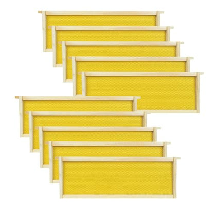 Medium Beehive Frames with Wax Foundations 10 Pack Beeswax Coated Foundations 6-1/4-Inch Beekeeping Supplies - size: 10 Pack Medium Beehive Frames