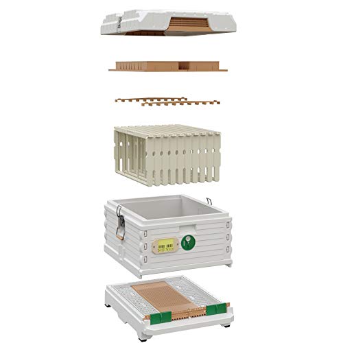 Apimaye Ergo Insulated Bee Hive Set with Plastic PRO Frames with Premier Double Wax Foundations (Single Deep) (White Body Green Entrance)
