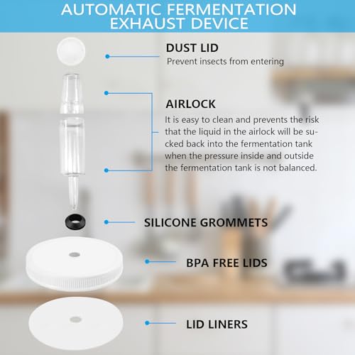 Artcome 10 PC Airtight 1 Gallon Fermentation Lid with Airlock - Transform Gallon Jar Into a Fermenter - Perfect for Pickles, Hard Kombucha, Beer, Wine, Cider - Gallon Lid with Econolock Airlock - size: 2 airlocks + lids