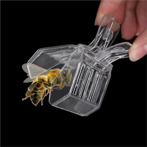Queen Bee Cage 30Pcs Clear Clipping Bee Queen Cages Beekeeper's Essential for Safe Transport Hive Management Durable Plastic for Beekeeping Supplies