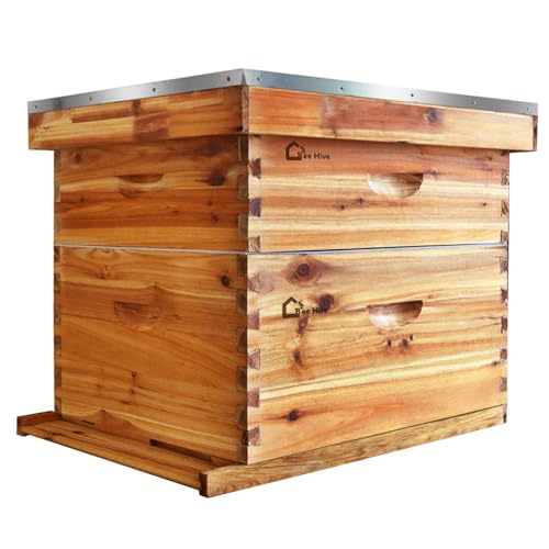 GarveeLife 10-Frame Bee Hive Starter Kit for Beekeepers Dipped In 100% Beeswax Includes 1 Deep Box and 1 Medium Bee Box with Beehives Frames and Wax Foundations for Beginner Beekeepers - size: Deep Box x 1+ Medium Box x 1