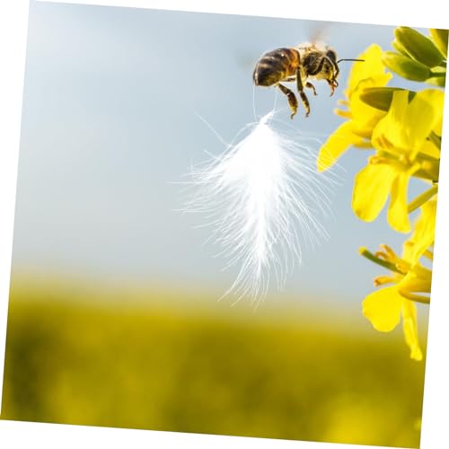 20pcs Bee Marking Plume Bee Markers Beekeeping Feeding Frame Queen Marking Tube Tools