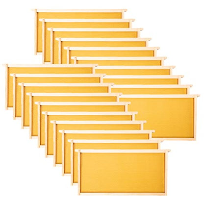 MayBee 20 Pack Honey Bee Frames with 100% Beeswax Coated Food Grade Foundation Sheets, Deep Beehive Frame for Beekeeping, 9-1/8-Inch(Yellow) - color: 20 Deep Frame yellow