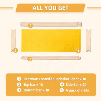 Medium Beehive Frames and Wax Foundations,10 Pack Honey Bee Frames with Wooden Bee Hive Frames and 100% Beeswax Coated Foundations, 6-1/4-Inch (Yellow) - size: 10 Pack Medium Frames-Yellow
