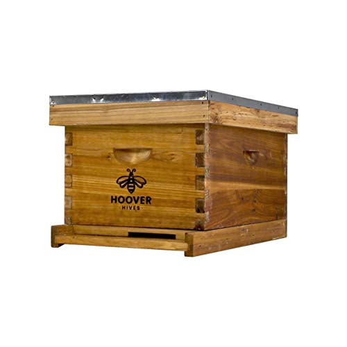 Hoover Hives Fully Assembled 8-Frame Deep Hive Kit – Wax-Coated Fir Wood Beekeeping Box with Frames, Foundations, Top Cover, Queen Excluder, Bottom Board, and Entrance Reducer