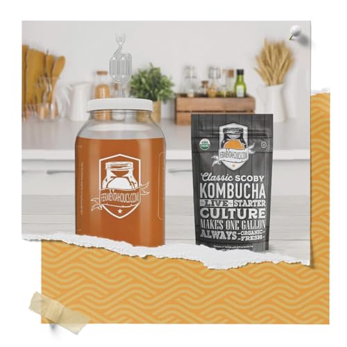 Fermentaholics Airlock 4 Pack – Brewing & Fermentation Airlocks – Use with Drilled Rubber Stopper, Grommeted Lid – Make Beer, Wine, Sauerkraut, Pickles, More (S-Shaped Airlock)