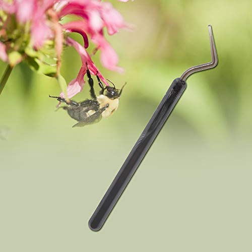 Bee Larva Grafting Tool | 3Pcs Plastic Queen Rearing Kit | Secure Grip for Accurate Transfer | Beekeeping Equipment for Colony Management/Honey Production