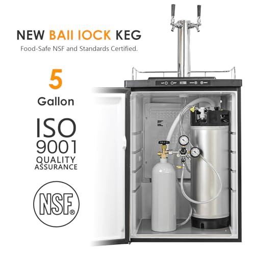 Stainless Steel Ball Lock Kegs, Set of 2, Homebrew Beer Cornelius Keg, 5 Gallon and 5 Gallon - color: 2 Kegs