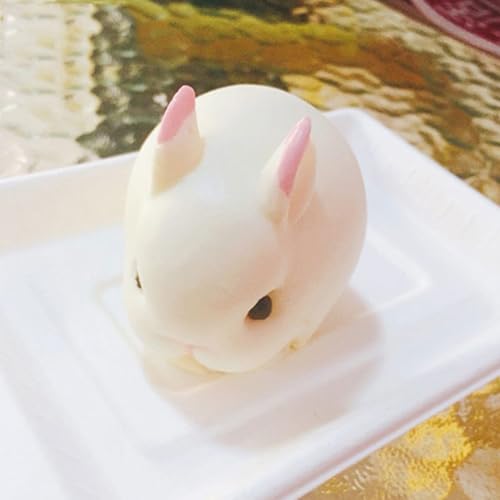 OCPO KITCHEN 3D Easter Bunny Silicone Mold for Baking Rabbit Shape Mousse Cake, French Dessert, Chocolate, Pastry, Pudding, Jelly, Cake Decoration Mold, Rabbit Shape (6 Cavity) - style: Bunny (6-Cavity)