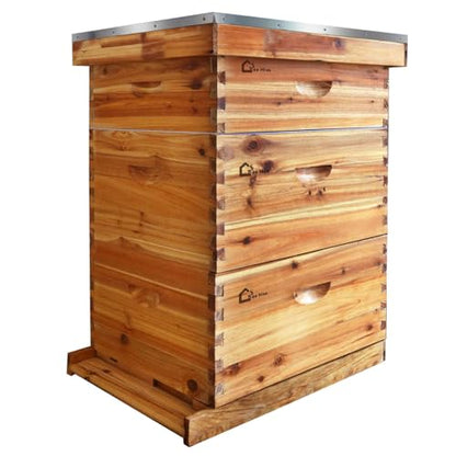 10-Frame Bee Hive Starter Kit for Beekeepers Dipped in 100% Beeswax Includes 2 Deep Box and 1 Medium Bee Box with Beehives Frames and Wax Foundations for Beginner Beekeepers - style: without Window