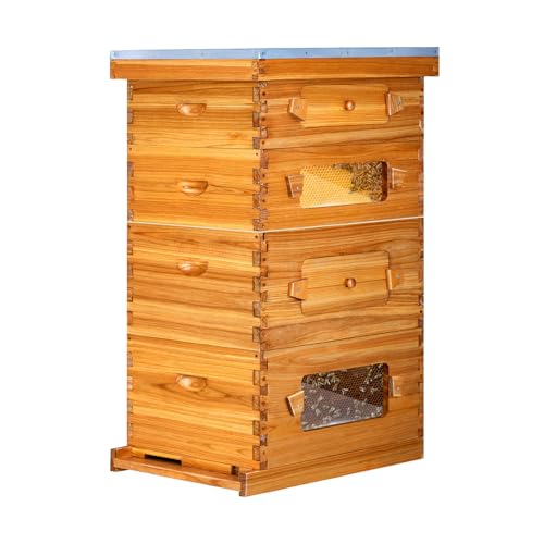 Honey Lake 10 Frame Langstroth Beehive Starter Kit with Windows - 2 Deep Brood Boxes & 2 Medium Super Boxes Dipped in Beeswax, Includes Frames & Wax Foundations - size: 4 Layers