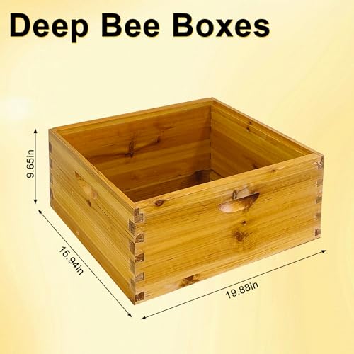 Bee Hives Coated Bee Hive Starter Kit, 10-Frame Langstroth Beehive with 2 Deep and 1 Medium Super Boxes, Wax Dipped Wood Bee House Includes Metal Top Cover & Queen Excluder (No Frames)