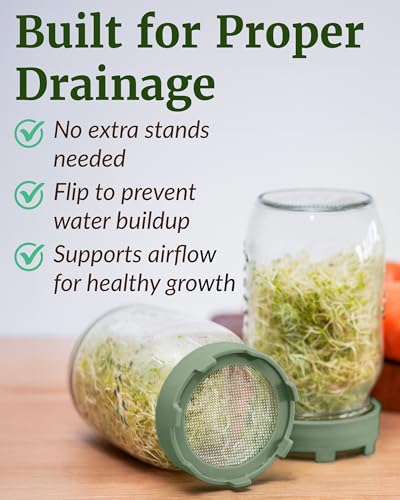 Elementi Sprouting Jar Kit - Set of 2 Wide Mouth Mason Jars with Sprout Lids & Stainless Steel Mesh Screen - Seed Sprouting Kit & Sprout Jars for Growing Broccoli Sprouts, Alfalfa, Mung Bean Sprouter - color: Sage Green Lids & Jars