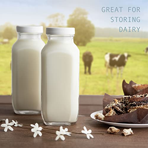 kitchentoolz 16 oz Glass Milk Bottle with Lid - Glass Jars with Airtight Lid used for Milk Container, Yogurt, Smoothies, Juice, Kefir, & Water -2 Pack 16 oz Glass Bottles with Lids - color: 16oz, style: 2 Pack