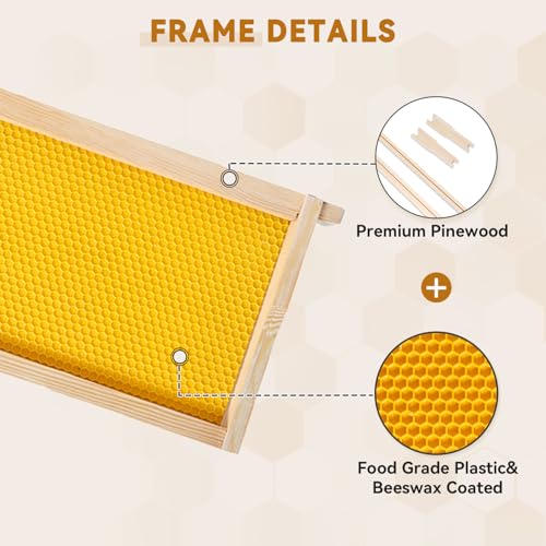 POLLIBEE 8 Frame Super Beehive Box, Langstroth Honey Bee Box Dipped in 100% Beeswax Include Bee Hive Frames and Wax Foundations (unassembled) - size: 8 Frame