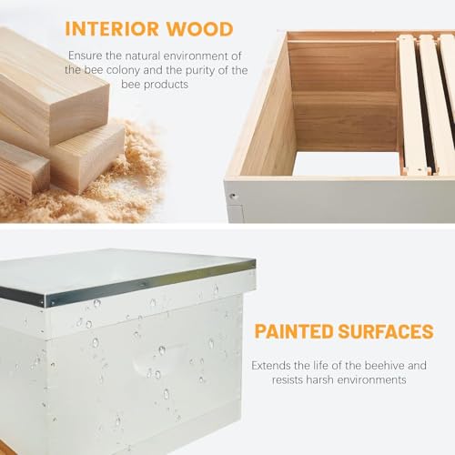 Bee Hives and Supplies Starter Kit Hand Painted 8 Frame Beehive Starter Kit All Beginners Kit Includes Beekeeping Supplies Tool Set and Cowboy Beekeeper Hat with Veil
