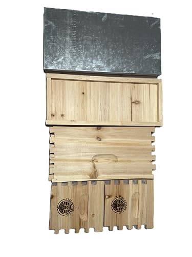 5 Frame NUC Beehive kit