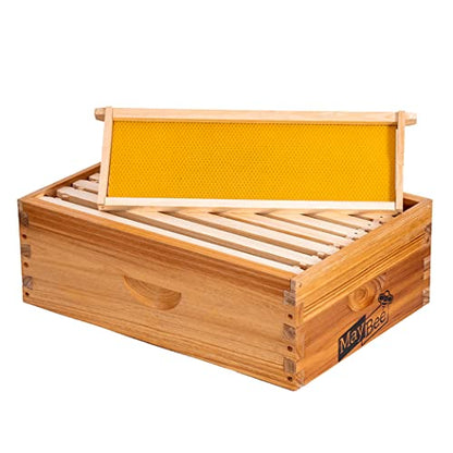 8-Frame Beehive Box Langstroth Medium Super Bee Box for Sale Wax Coated Bee Hives Includes Wooden Frames & Waxed Foundations - style: Assembled