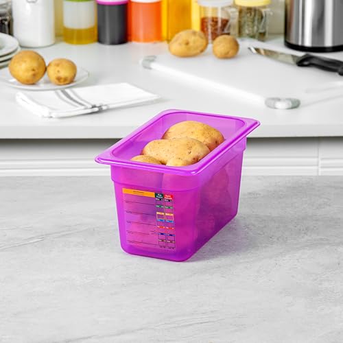 Restaurantware Food Storage Container 1 Pack of 3.9 qt Plastic Stackable Microwave-Safe Bin Dishwasher Safe Freezer Safe Purple Containers for Kitchen Storage - size: 1/4 Size