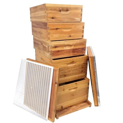 5-Layer Bee Hive, Beehive Kit Langstroth Bee Hive Coated with 100% Beeswax Includes 2 Deep Bee Boxes, 3 Medium Bee Hive, NO Frame