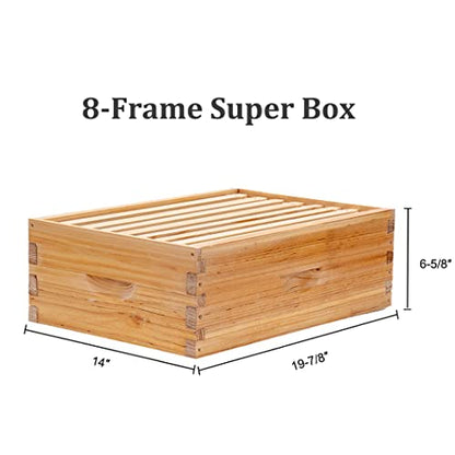BeeCastle 8 Frame Langstroth Bee Hive Coated with Beeswax Includes Beehive Frames and Waxed Foundations (2 Deep Boxes & 1 Medium Box)