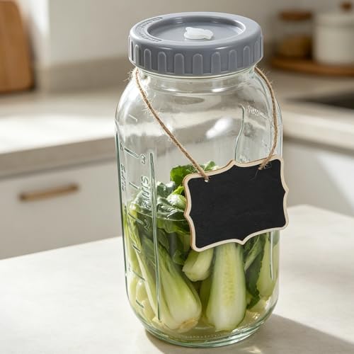 Fermentation Jars with Lids and Airlocks - Wide Mouth Glass Mason Jar with Scale Mark for Veggies Sauerkraut Kombucha - Pickling Kimchi Container 0.5 Gallon/64oz