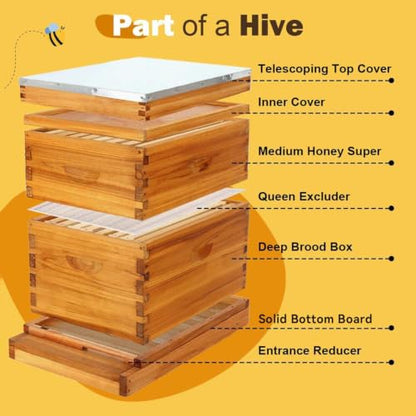 8 Frame Langstroth Beehive Kit Dipped in Heavy Beeswax Bee Hives with 1 Deep Bee Box and 1 Medium Bee Hive Box with Frame and Foundation(Unassembled)