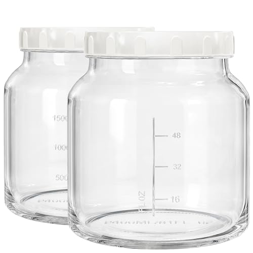 Qianfenie 2 Pack 79 Oz Glass Jars with Lids, 100% Airtight and Leak-proof Half Gallon Mason Jar, Pickle Jar Mason Jar Wide Mouth for Cold Brew, Kombucha, Ice Tea, Pickle Eggs, Flour, Sugar