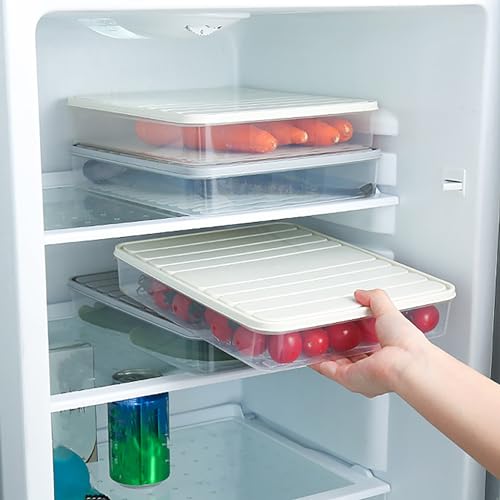 Plastic Airtight Dumpling Storage Box with Lid - Multiuse Cookie & Kimchi Container for Freezer/Refrigerator, Space-Saving White Rectangular Design