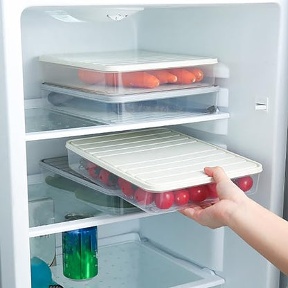 Plastic Airtight Dumpling Storage Box with Lid - Multiuse Cookie & Kimchi Container for Freezer/Refrigerator, Space-Saving White Rectangular Design