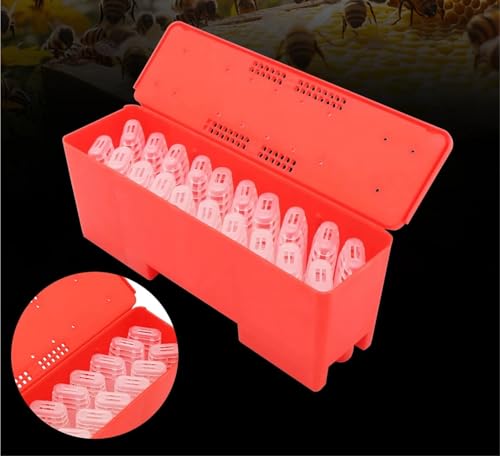 Queen Bee Cage 2pcs Queen Bee Transport Box and 20Pcs Cages Rearing Cup Kit Plastic Incubator Beekeeping Tool for Beekeeping Supplies