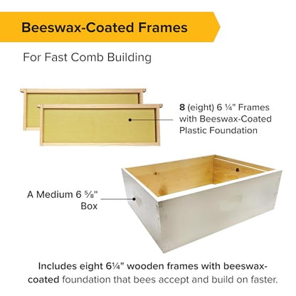 Mann Lake 8-Frame Medium Super Kit, Fully Assembled 6⅝" Super Box with 8 Durable Frames & Beeswax-Coated Plastic Foundation for Honey Storage, Beekeeping and Hive Expansion, Made in USA, Painted - color: Painted Deep Hive Kit